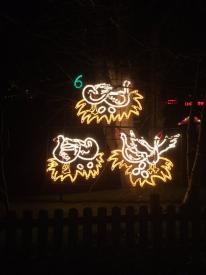 Six Geese A'Laying